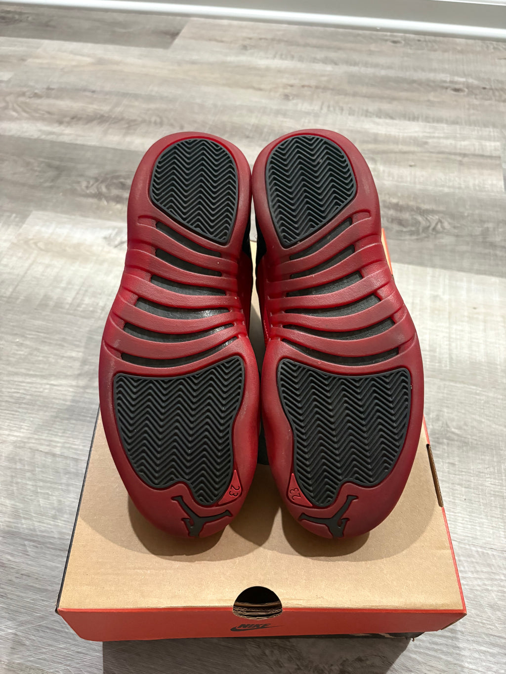 Jordan 12 Retro Flu Game (2025)
