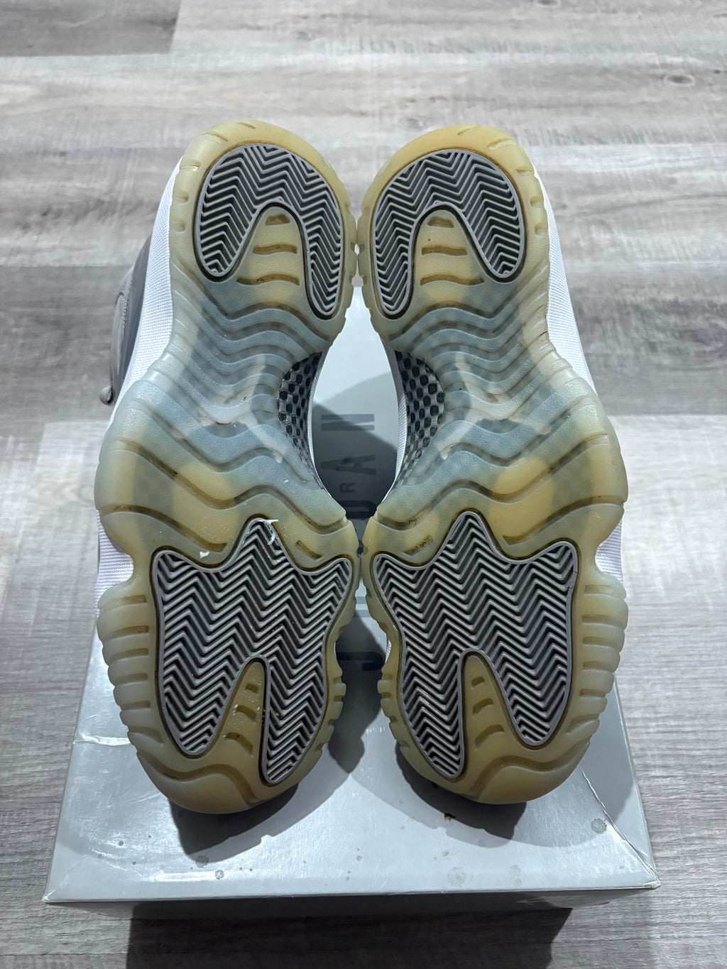 Jordan 11 Retro Cool Grey (2021)